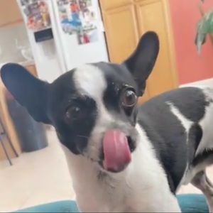 Meet your Posher, Sally